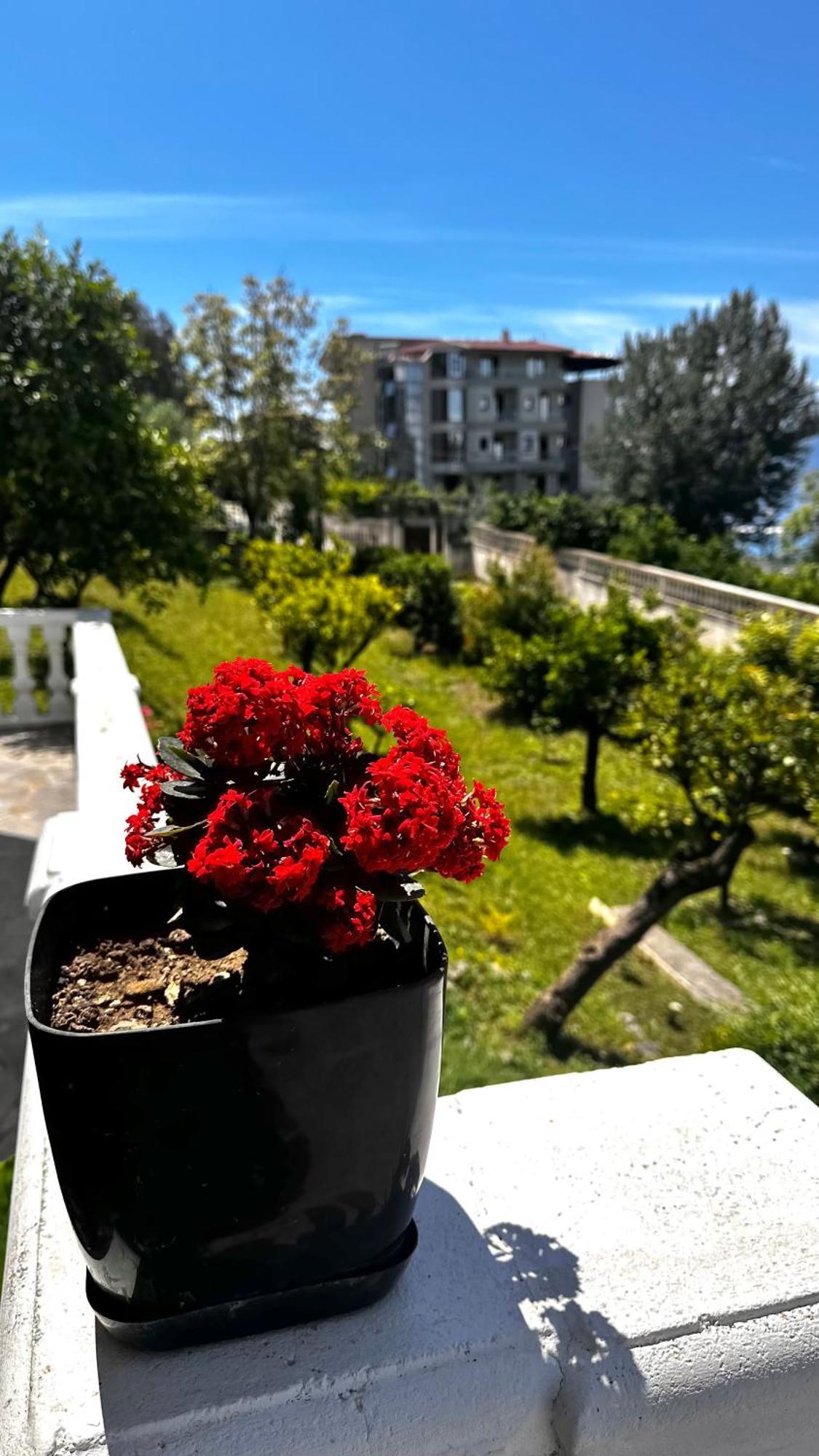 Villa Mare - For Families & Groups Vlorë Exterior foto